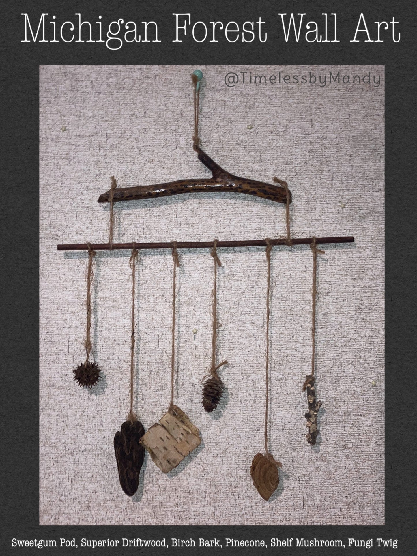 Michigan Forest Treasures Wall Art Hanging Mobile with Nature Specimens of Sweetgum Pine Birch Fungi
