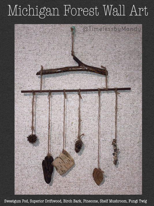 Michigan Forest Treasures Wall Art Hanging Mobile with Nature Specimens of Sweetgum Pine Birch Fungi