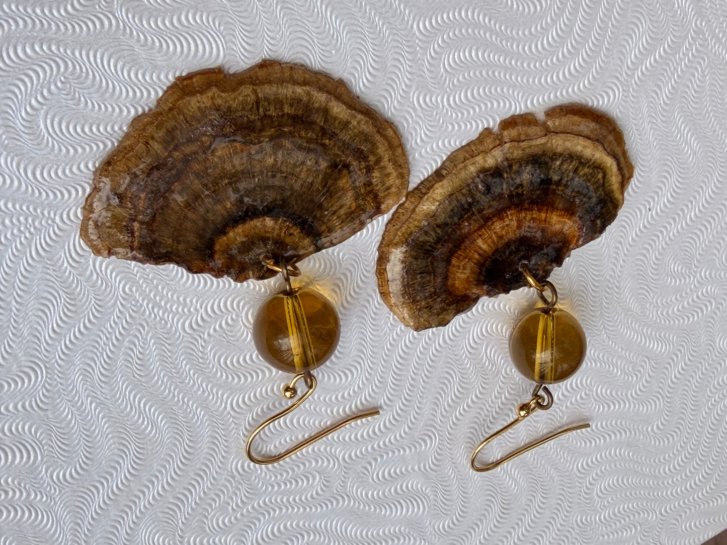 Turkey Tail fungus Trametes versicolor Mushroom in resin GOLD-PLATED Earrings with amber glass beads