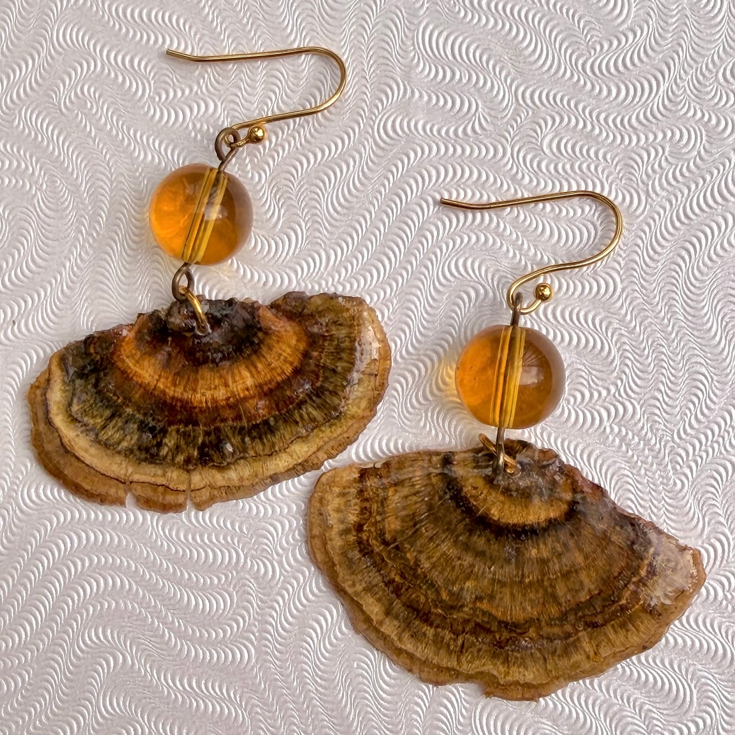 Turkey Tail fungus Trametes versicolor Mushroom in resin GOLD-PLATED Earrings with amber glass beads