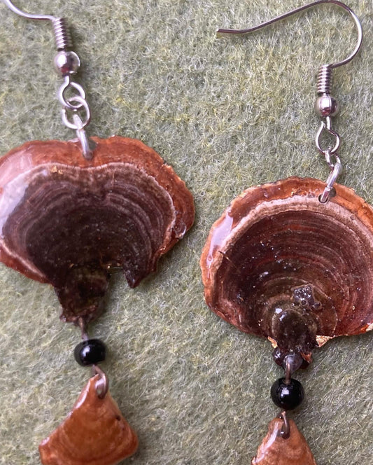 Dried Turkey Tail / fungus Mushroom in resin Earrings with tiny black beads