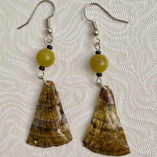 Turkey Tail fungus Trametes versicolor Mushroom in resin Earrings with green stone beads
