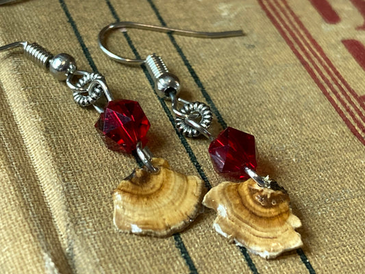 Tiny Dried Mushroom in resin Earrings with red Swarovski