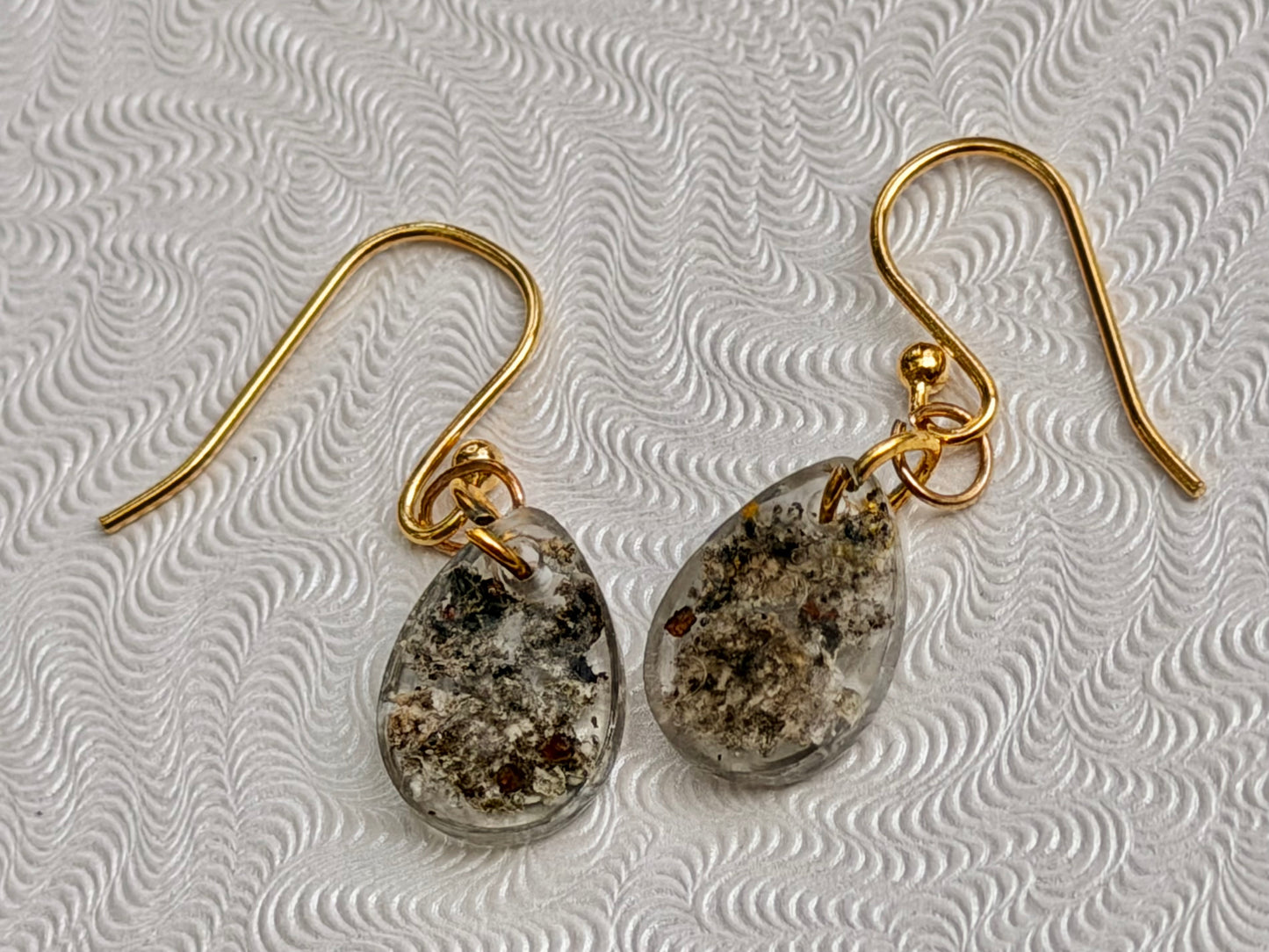Tiny Michigan Lichen Apothecia specimen in resin on GOLD-PLATED Earrings