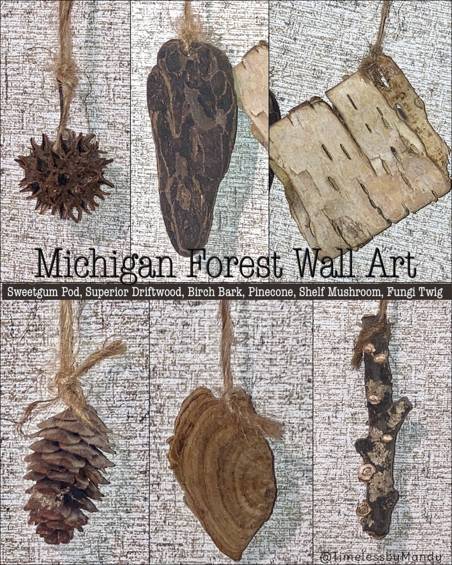 Michigan Forest Treasures Wall Art Hanging Mobile with Nature Specimens of Sweetgum Pine Birch Fungi