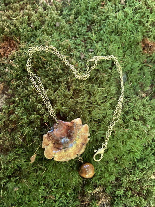 Dried Shelf Fungus in resin with Tigers Eye sphere - similar to Turkey Tail mushroom