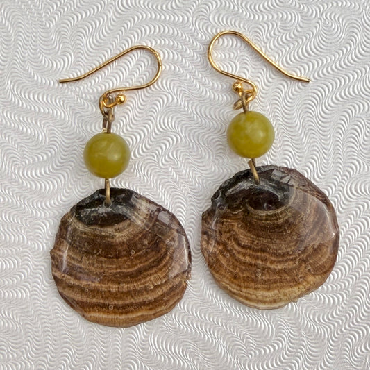 False Turkey Tail fungus Mushroom Discs in resin on GOLD-PLATED Earrings with green stone beads