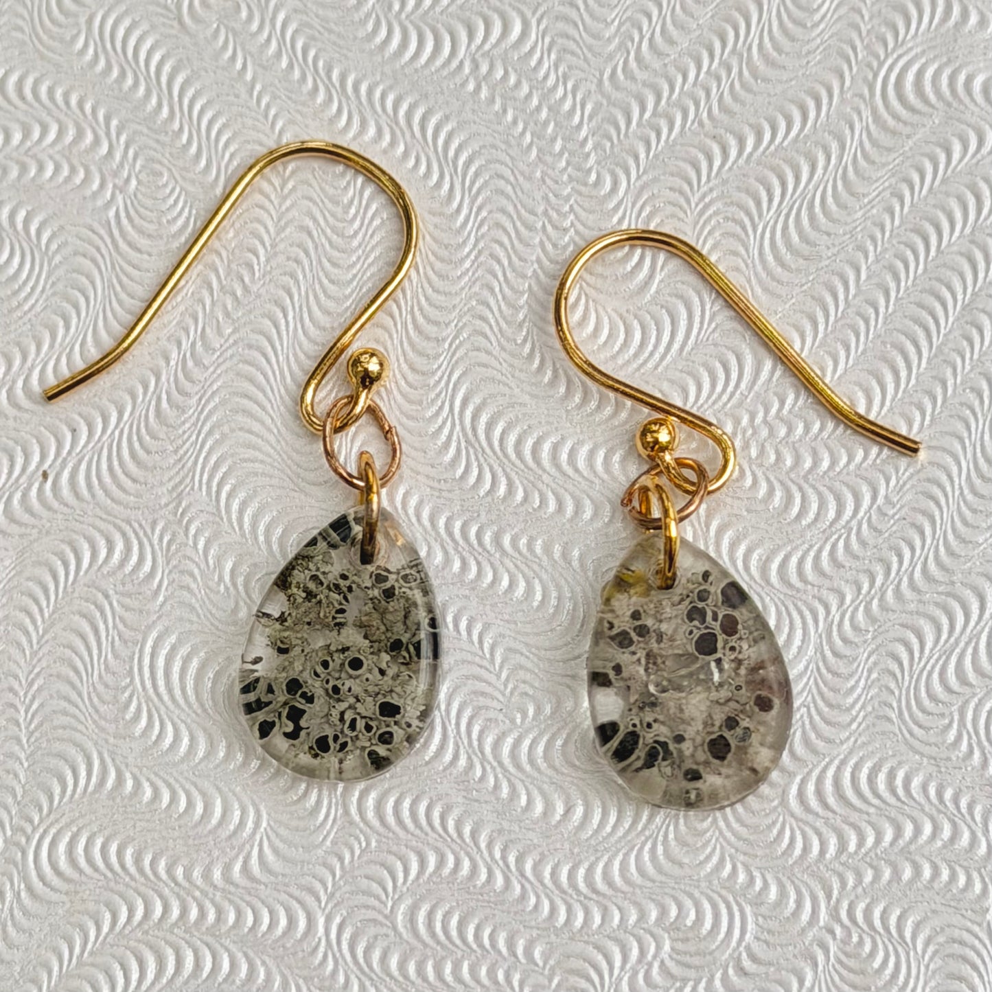 Tiny Michigan Lichen Apothecia specimen in resin on GOLD-PLATED Earrings