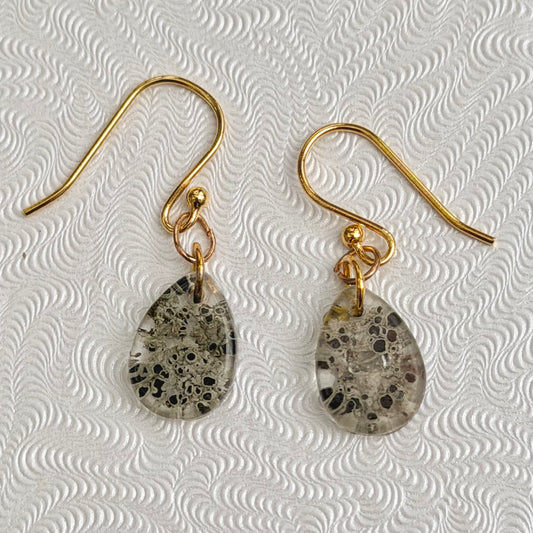 Tiny Michigan Lichen Apothecia specimen in resin on GOLD-PLATED Earrings