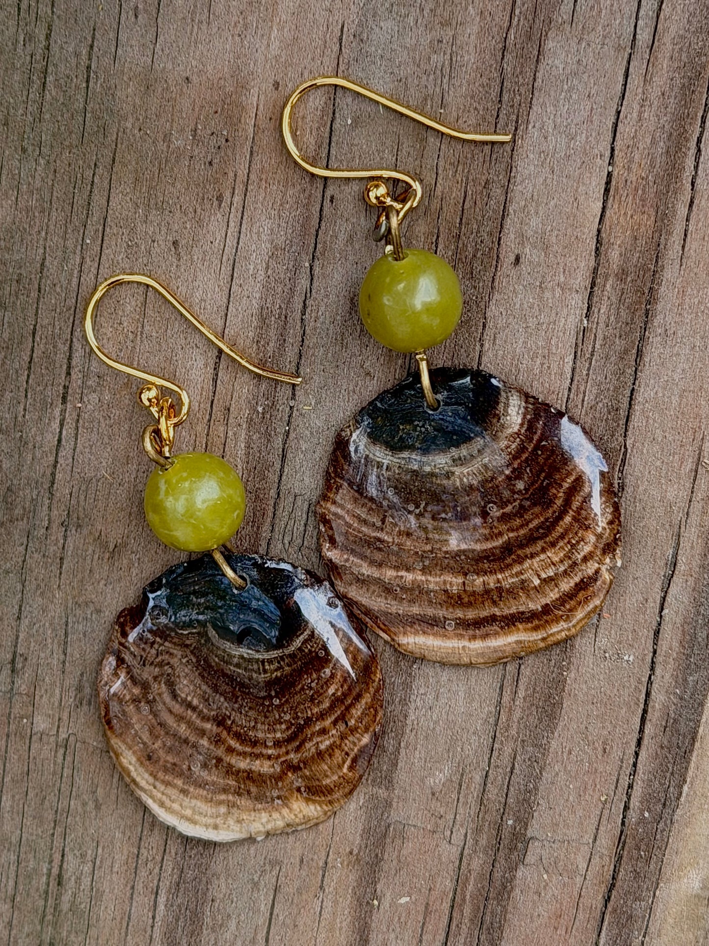 False Turkey Tail fungus Mushroom Discs in resin on GOLD-PLATED Earrings with green stone beads