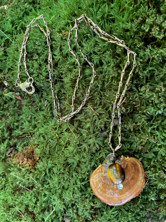 Dried Shelf Fungus in resin with Tigers Eye real gemstone and faux diamond crystal accent - similar to Turkey Tail mushroom